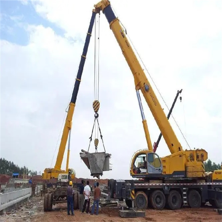 义安小型吊机出租电话|厂房设备吊装方案|24小时服务覆盖